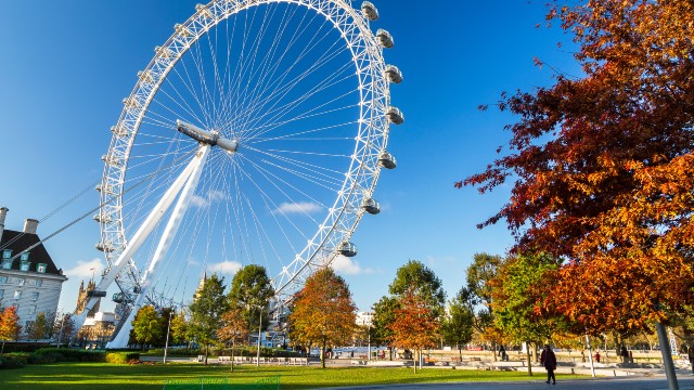 A woman walks along a path passing autumnal trees with clear skies and the London Eye in the background. 