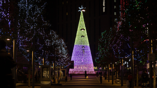 Tall Christmas tree lit up with LED lights at Winterfest in Wembley Park, London
