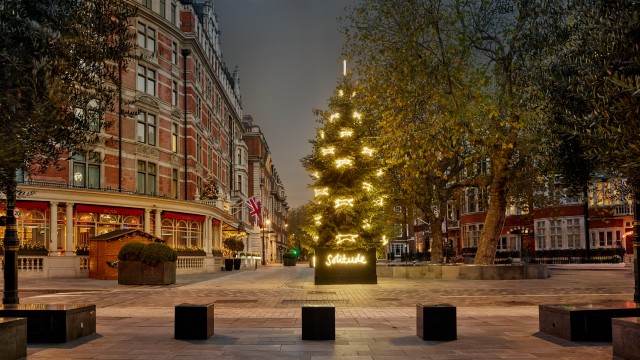 A 9 metre Christmas tree in front of The Connaught with soft white illuminated dogs covering the pines.