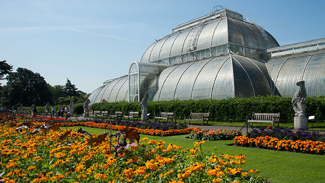 The glass Palm House in Kew Gardens on a sunny day, with orange flower and grass in the foreground.