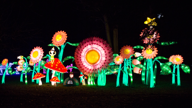 Illuminated flower art installation at Lightopia Festival London at night