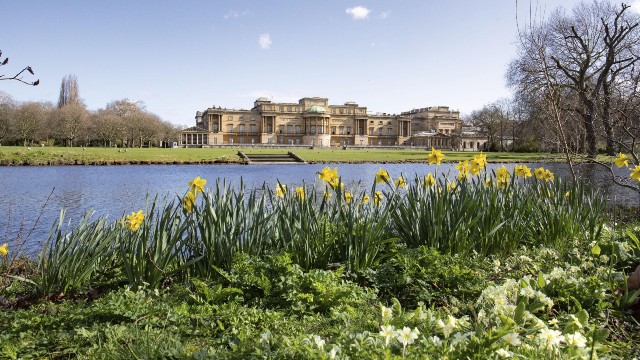 Букингемский дворец на заднем плане с озером и желтыми цветами на фото во время экскурсии по саду Букингемского дворца.