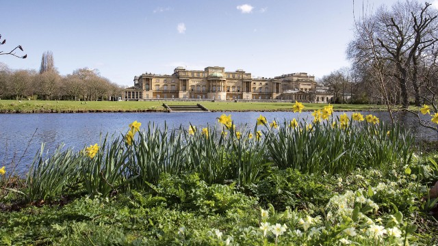 Buckingham Palace in the background with the lake and yellow flowers pictured, as part of the Buckingham Palace Garden tour.