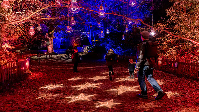 A family of 4 follow the illuminated trail in Kenwood House gardens.