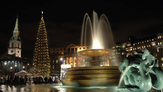 Weihnachtsbaum im Trafalgar Square mit Fontänen und den umliegenden Gebäuden bei Nacht beleuchtet.