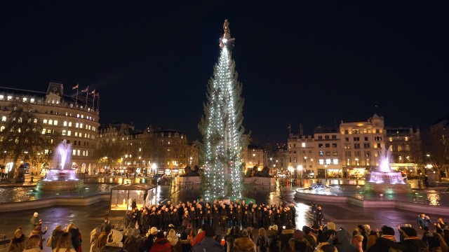 Carol singers standing in front of the Trafalgar Square Christmas tree, which is lit up by twinkling, vertical lights and buildings in the background.