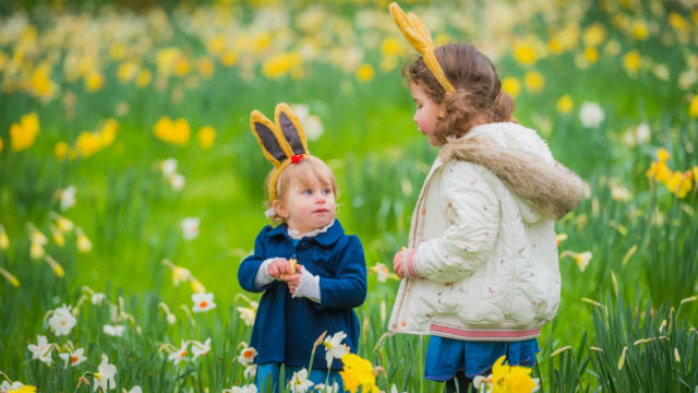 Young children walking in the daffodils and long grass wearing bunny ears