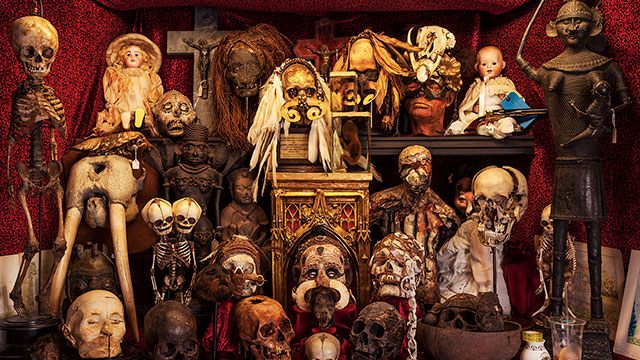 a cabinet filled with skeletons and heads of dead people 
