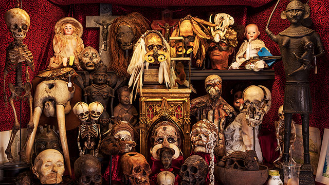 a cabinet filled with skeletons and heads of dead people