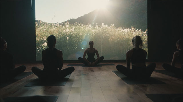 A yoga class seated on the floor in a dark studio in front of a giant screen