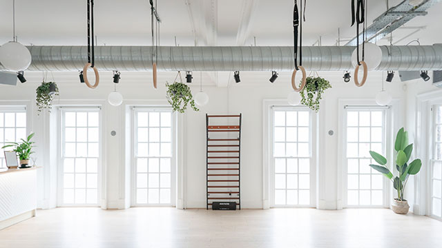 A light, white studio space with windows, a climbing frame, rings and green plants
