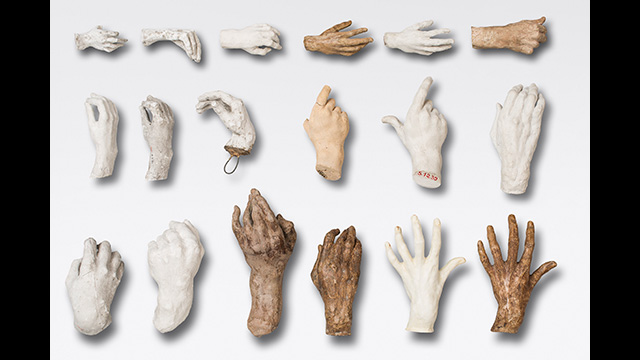 Various plaster hands, in various colours, laid out next to each other.