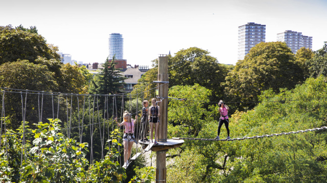 Image courtesy of Go Ape Battersea Park