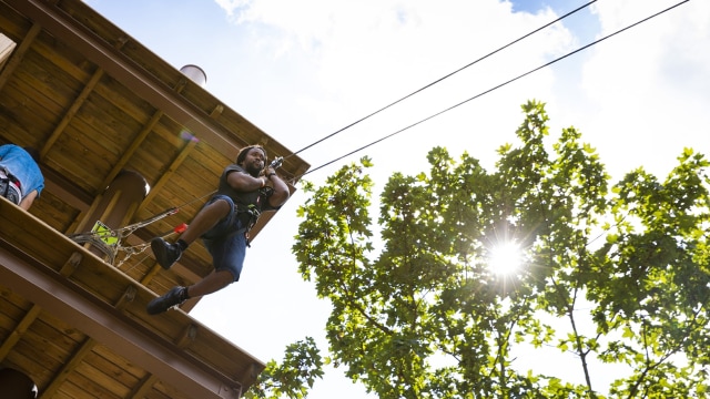 Image courtesy of Go Ape Alexandra Palace