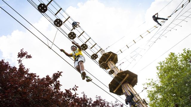 Image courtesy of Go Ape Alexandra Palace
