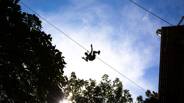 Image courtesy of Go Ape Battersea Park
