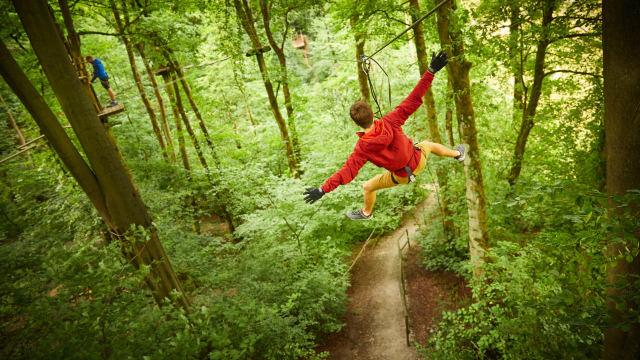Image courtesy of Go Ape Cockfosters