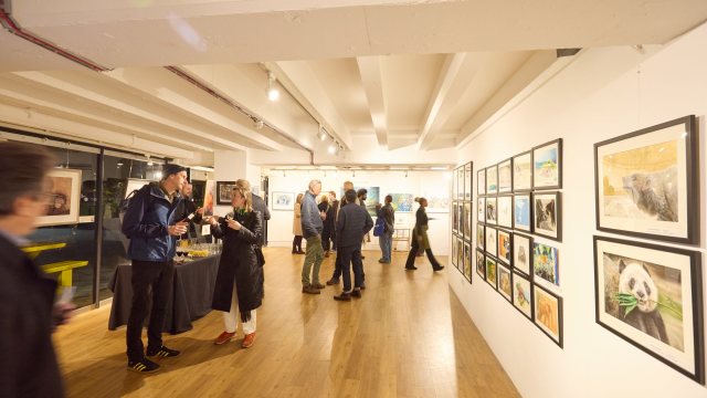 Image courtesy of Oxo Gallery