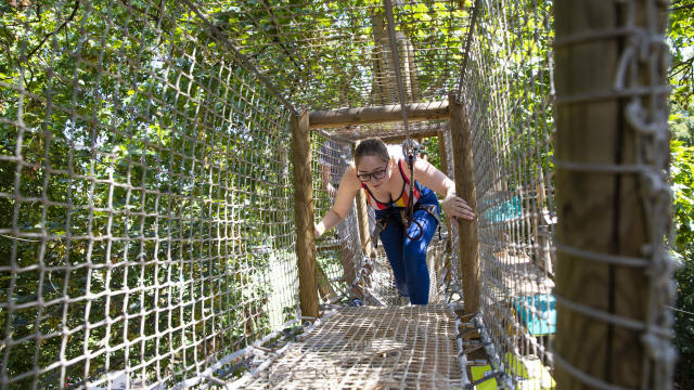 Image courtesy of Go Ape Battersea Park