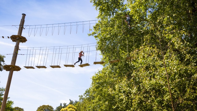 Image courtesy of Go Ape Battersea Park