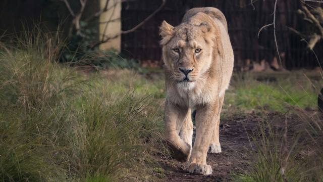 Image courtesy of ZSL London Zoo