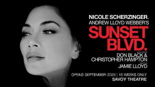 See Nicole Scherzinger in the role of movie star Norma Desmond in this new Andrew Lloyd Webber adaptation of Sunset Boulevard, currently at the Savoy Theatre. Image courtesy of SEE Tickets.