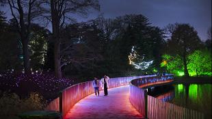 Animated illuminations at Kew's lake. © RBG Kew/Jeff Eden