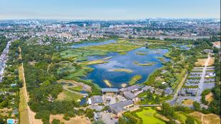 An aerial view of the WWT London Wetland Centre. Image courtesy of the WWT London Wetland Centre.