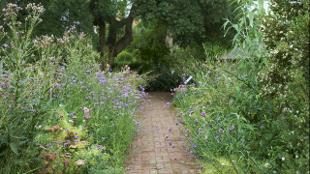 Butterfly Walk at Chelsea Physic Garden. Photo copyright: Charlie Hopkinson