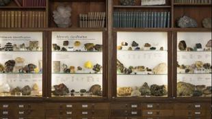Imagen por cortesía de University College London: Geology Collections