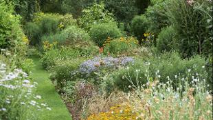 Flower beds at Chelsea Physic Garden. Photo copyright: Charlie Hopkinson