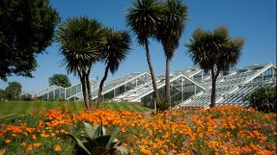 The dramatic Princess of Wales Conservatory