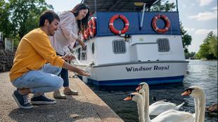 Discover Windsor's wildlife abord the French Brother sightseeing cruise ©visitlondon/Michael Barrow
