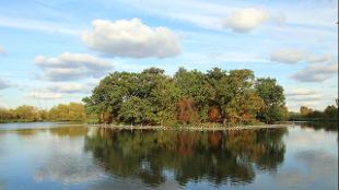 Spot islands in the reservoirs. Image courtesy of Walthamstow Wetlands.