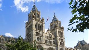 Admission Prices Natural History Museum London Admission Prices Natural History Museum London