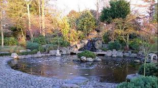 Kyoto Japanese Garden at Holland Park. Photo: Ewan Munro / Royal Borough of Kensington & Chelsea