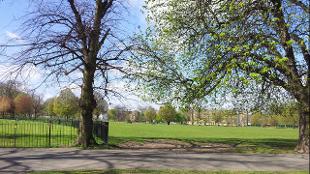 Clissold Park in Stoke Newington. Photo: Claire Doble