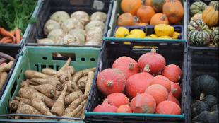 Fresh vegetables at Brockley Market. Image courtesy of Brockley Market.