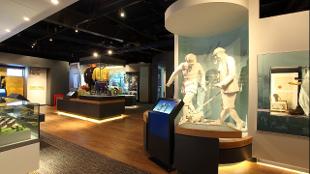 The Museum at Chelsea FC. Image courtesy of Chelsea FC.