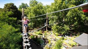 Part of the course at Go Ape Battersea. Image courtesy of Go Ape.