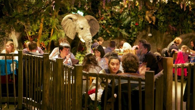 Rainforest Cafe London - Cafe