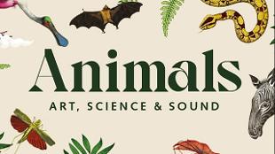 Discover the animal kingdom with Animals: Art, Science and Sound. Image courtesy of Mastercard.