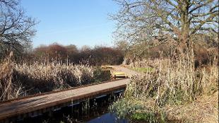 Walkway over a pond at Morden Hall Park. Image courtesy of Morden Hall Park.