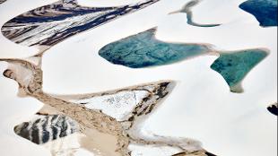 Wildlife Photographer of the Year at the Natural History Museum - What