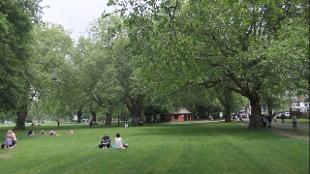 A lawn surrounded by trees. Image courtesy of London Fields.