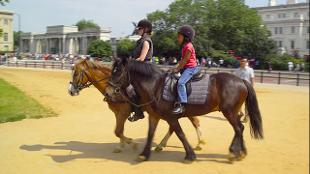 Image courtesy of Hyde Park Riding Stables