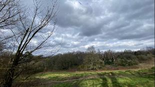 West Heath, Constable sky. Photo: Conan Hales. Image courtesy of London Walks.