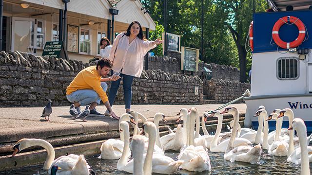 Admire Windsor castle while you cruise along the royal town riverside. © visitlondon/Michael Barrow