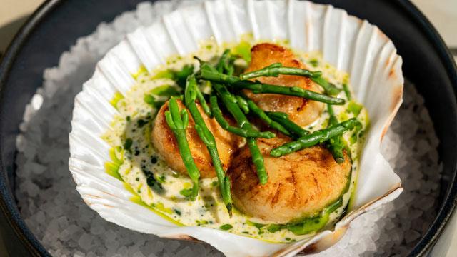 Scallops in a scallop shell. Credit:Justin de Souza. Image courtesy of Roche Communications.