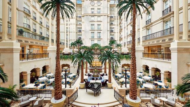The Winter Garden from above. Credit: Jonathan Stewart. Image courtesy of Roche Communications.